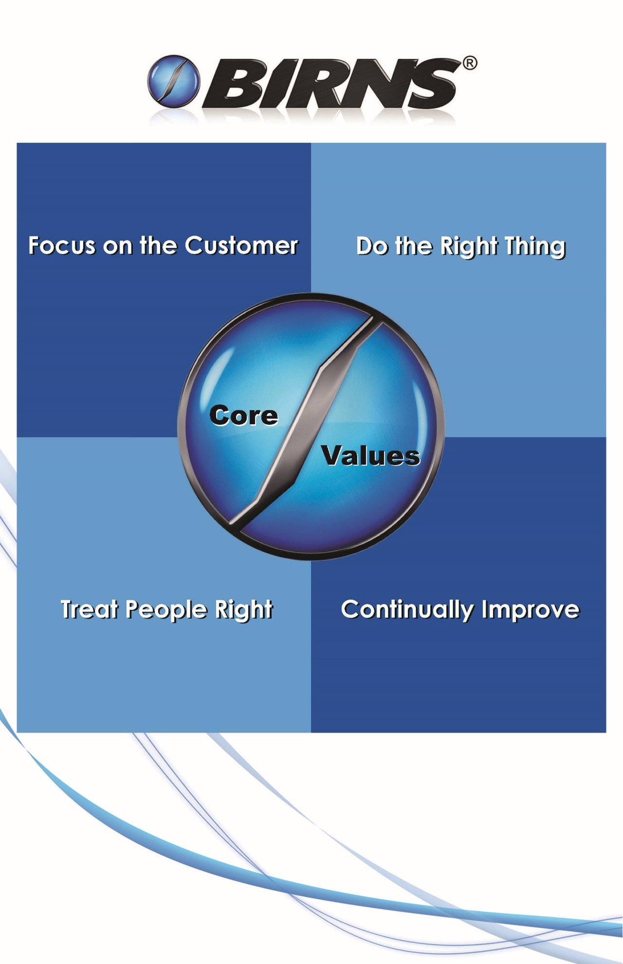BIRNS Core Employee Values